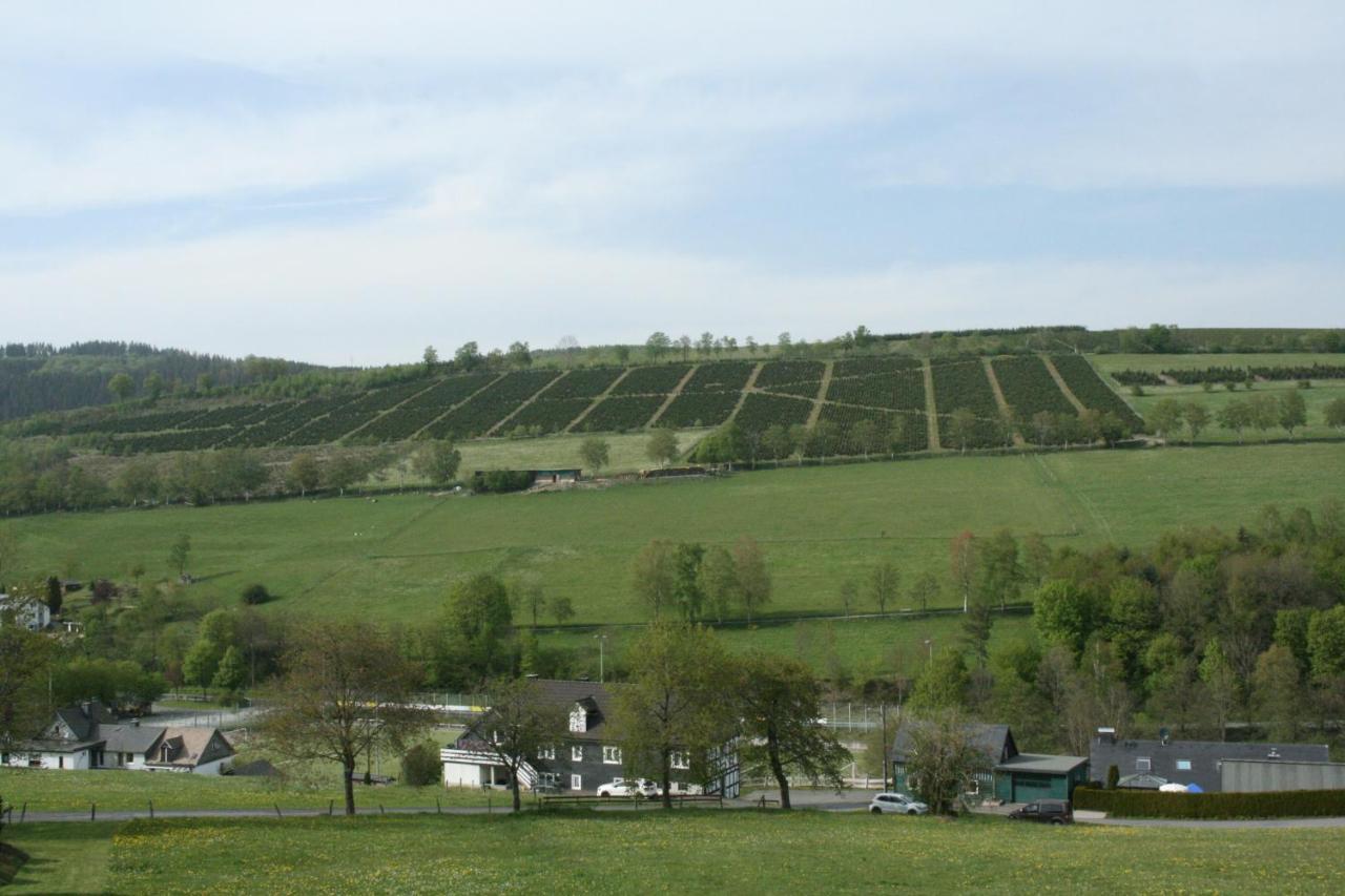 Ferienhaus Zur Ennest Schmallenberg Exterior photo